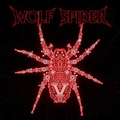wolf-spider-v-cd