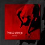 Frontal Cortex - 