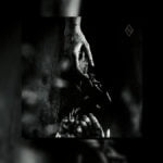 Non Opus Dei - Głód