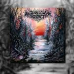 Shallow Retrospection – Mortals