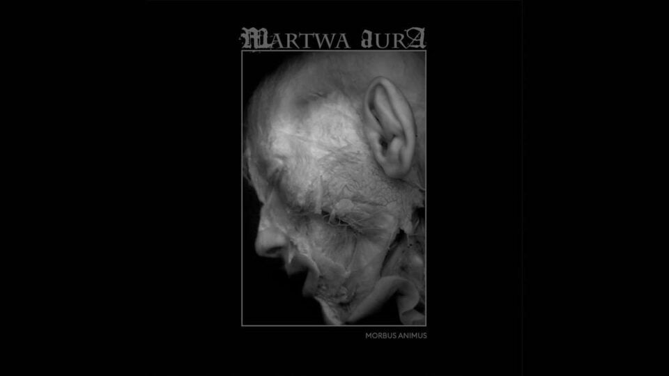 Martwa Aura Morbus Animus