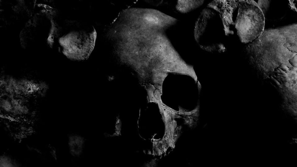 Zdjęcie przedstawiające czaszki