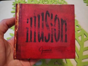 Plyta Illusion z autografami 2