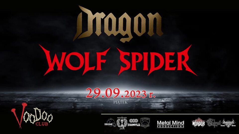 Dragon i Wolf Spider koncerty