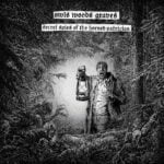 Owls Woods Graves - Secret Spies of the Horned Patrician