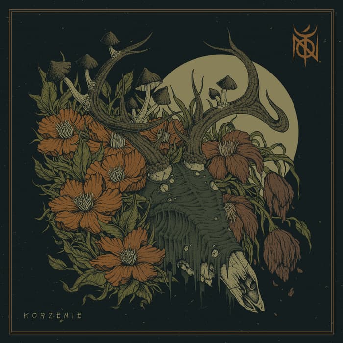 Zespół TOŃ zapowiada album „Korzenie”. Kiedy premiera? 3 TOŃ album Korzenie