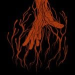 Moonstone - Age of Mycology
