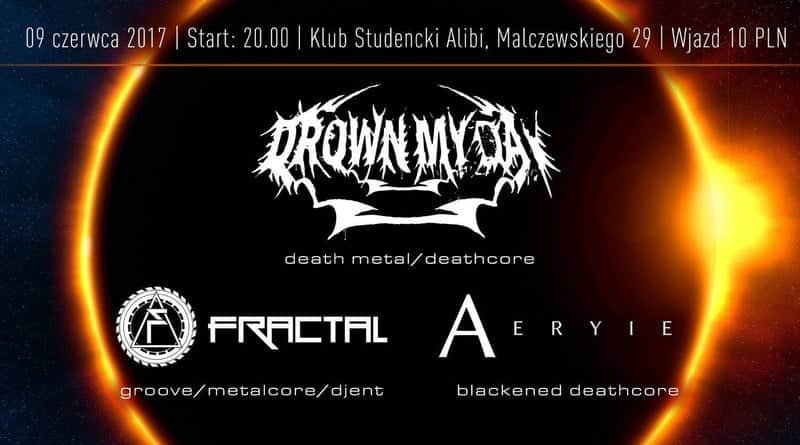 drown my day koncert