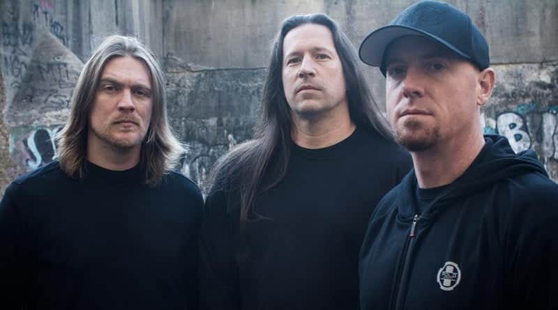 dying fetus